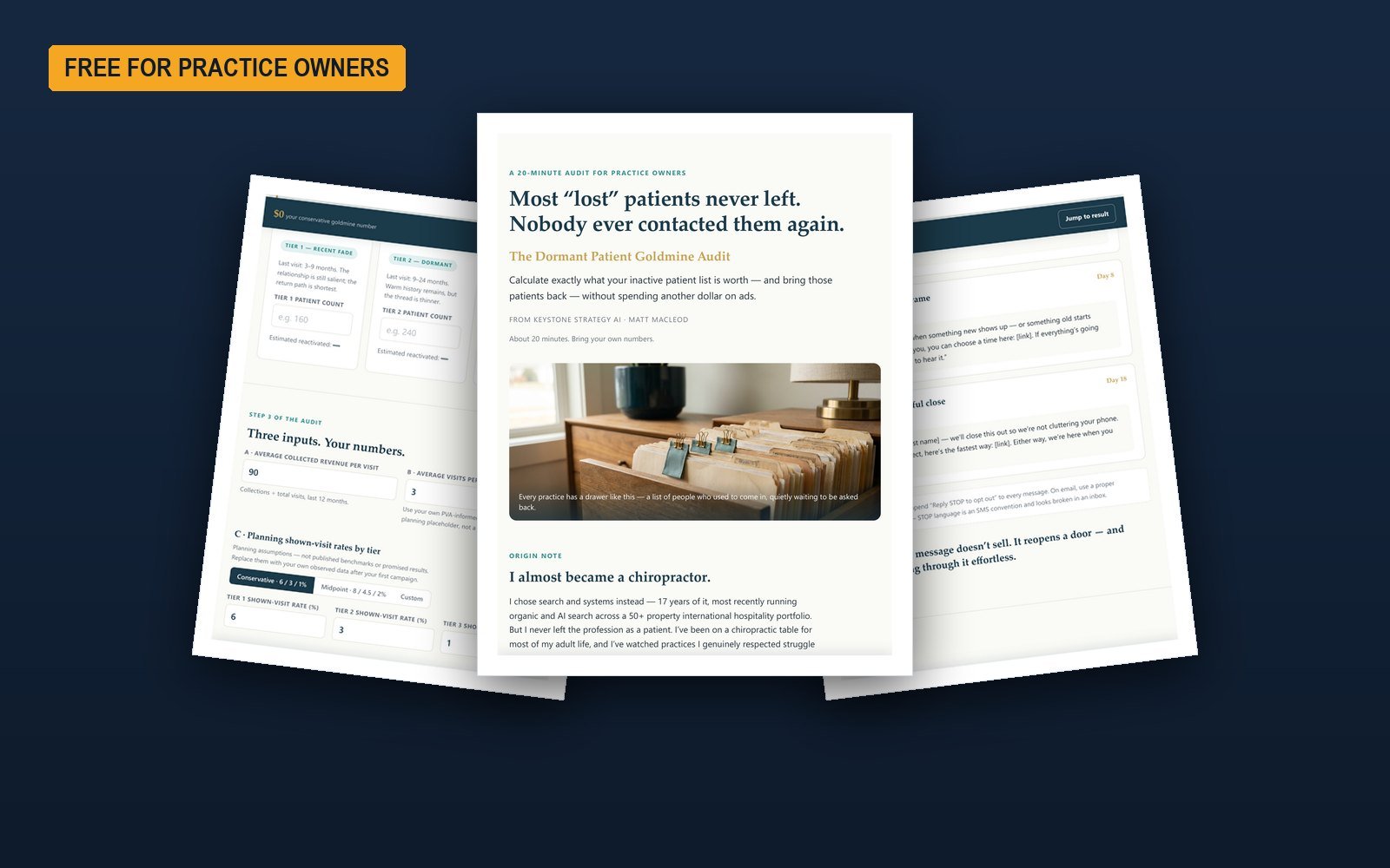The Dormant Patient Goldmine Audit — 12-page audit and worked example pages